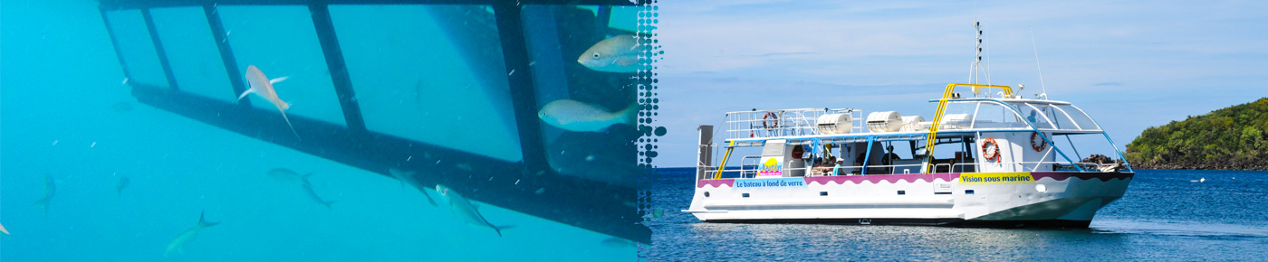 Réserve Cousteau en bateau fond de verre