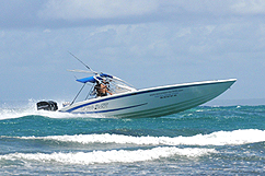 Vedette près de la barrière de corail de Saint-François