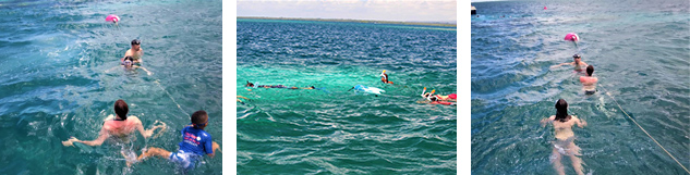 snorkeling dans le grand cul de sac marin