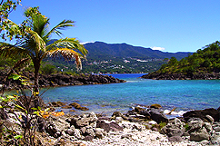 Piscine - Réserve Cousteau