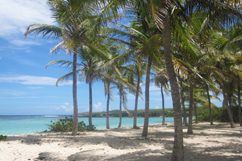 Plage de Petite-Terre