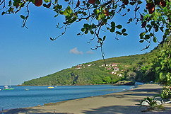 Plage de Malendure - Bouillante