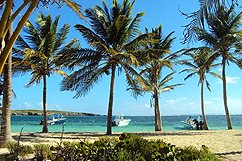 Plage de Petite Terre et lagon