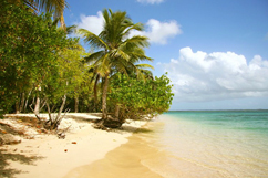 Plage de pointe sable