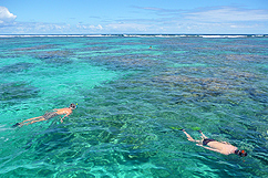 Plongée libre sur la barrière de corail