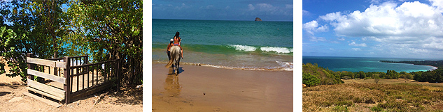 Pont "dead in paradise" baignade à cheval et vue mer 