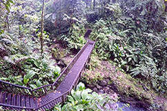 Pont et escaliers