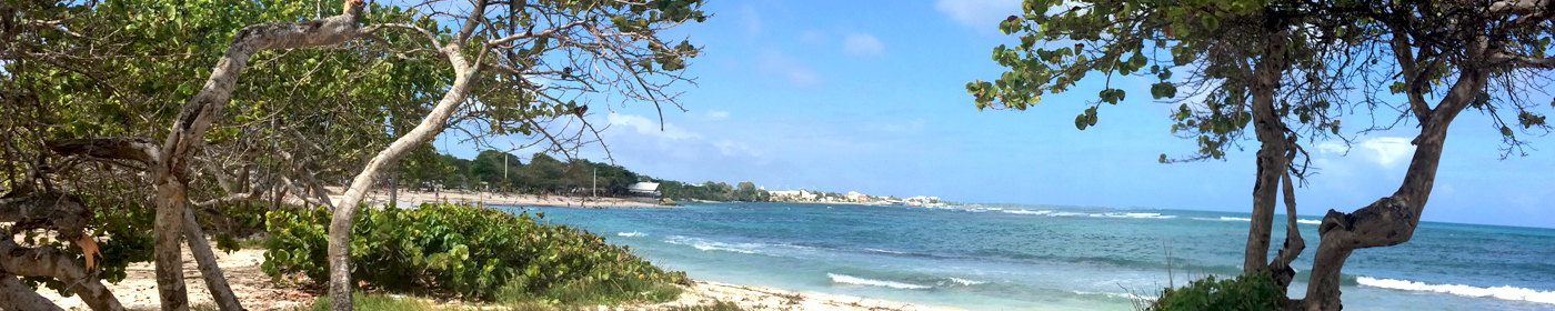 Plage des Raisins Clairs