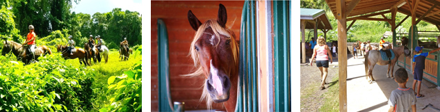 randonnéé equestre La coulisse