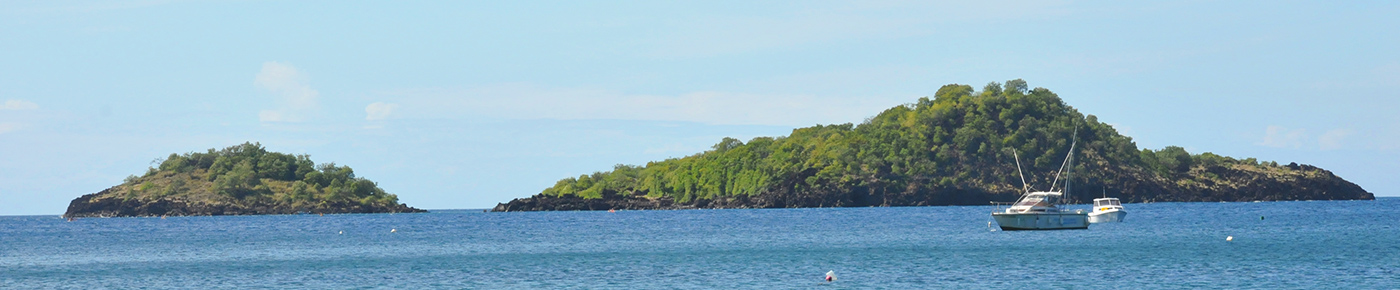 Location ponton flotant - Guadeloupe