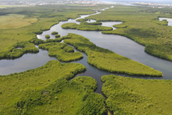 Rivière salée - Grand Cul-de-sac Marin