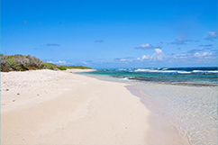 sable blanc petite terre