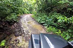 Sentier tropical 4x4