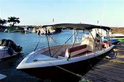 Bateau de l'excursion cétacés en Guadeloupe