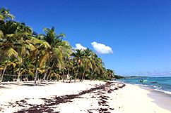 Plage du souffleur