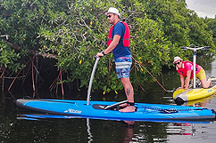 excursion step-paddle port louis