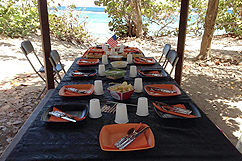 Table de picnic Fish'on