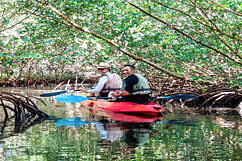 excurson kayak avec guide grand cul-de-sac marin
