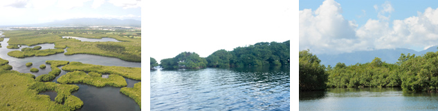 randonnée kayak mangrove guadeloupe
