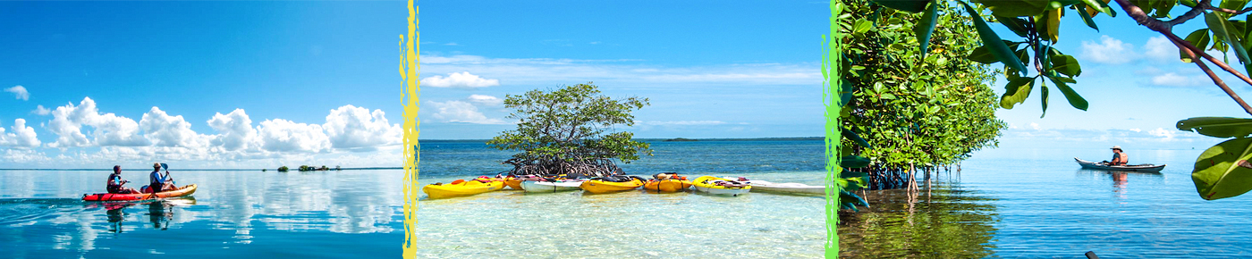 randonnée guidée en Kayak vers le Grand cul-de-sac Marin - Guadeloupe