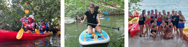 excursion mangrove kayak et paddle