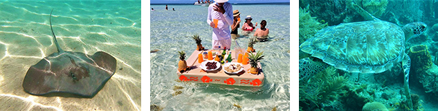 excursion bateau fond en verre guadeloupe