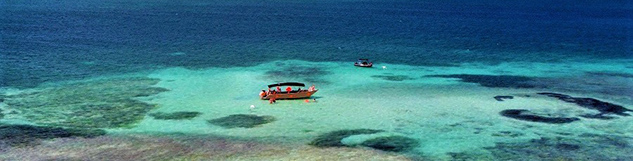 excursion bateau fond en verre guadeloupe