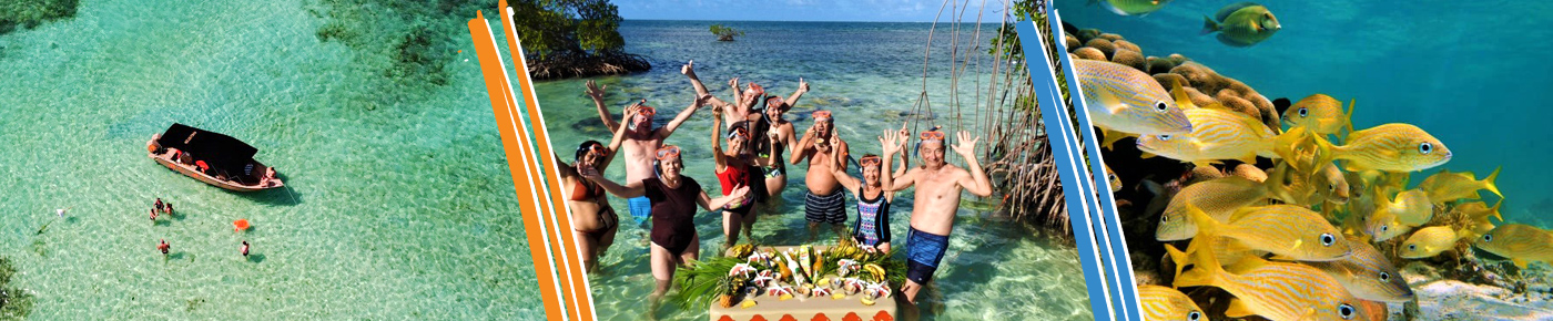 Excursion Grand cul-de-sac Marin avec bateau fond de verre - Guadeloupe