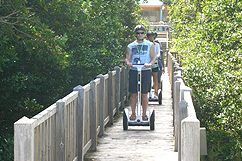 Traversée pont de bois - Le Moule