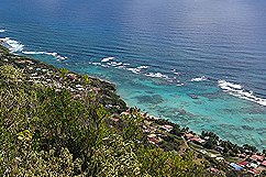 Vue du plateau à la Désirade