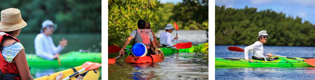 excursion grand cul-de-sac marin en kayak