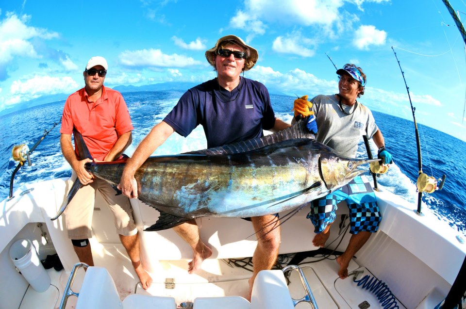 marlin marlin