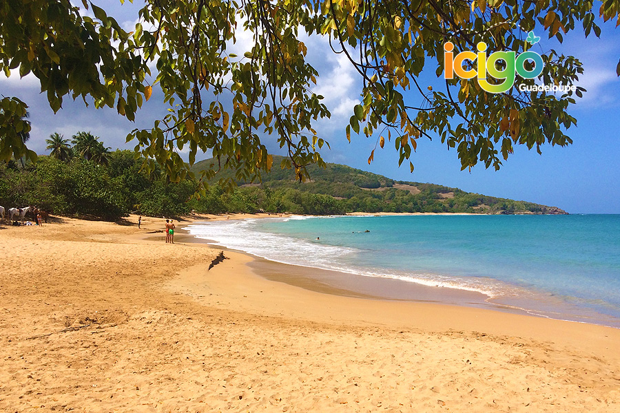plage de cluny arret plage de cluny arret