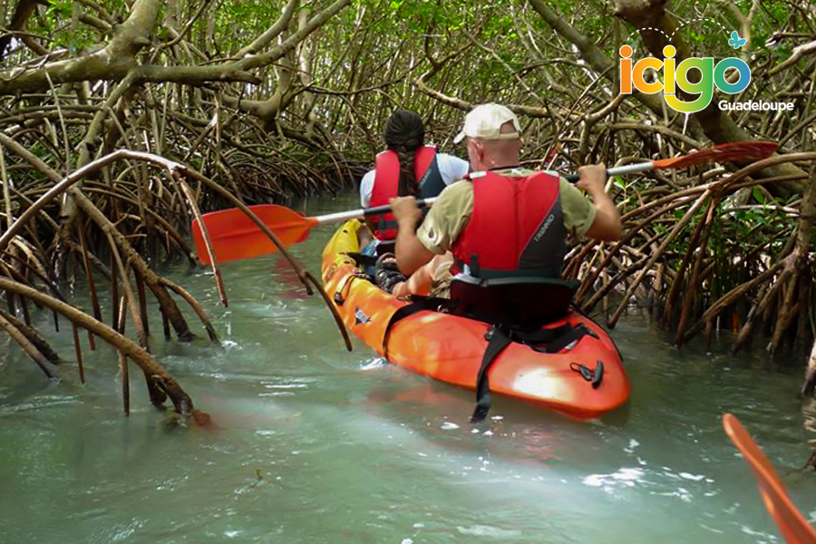 excursion kayak guadeloupe  15
