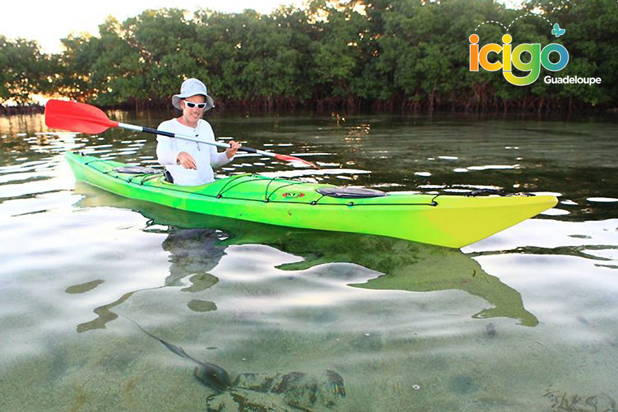 excursion kayak guadeloupe  8