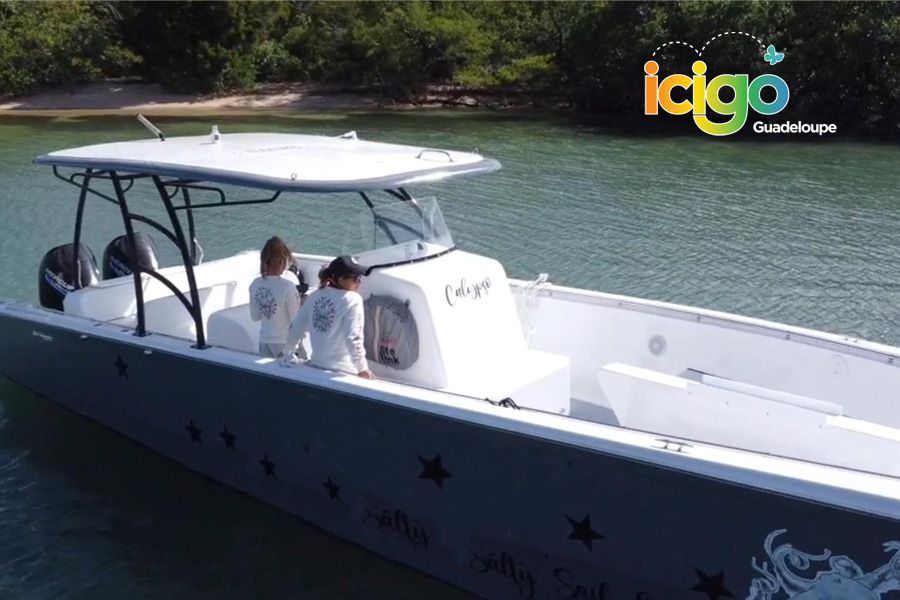 photos calypso 6 photos calypso 6