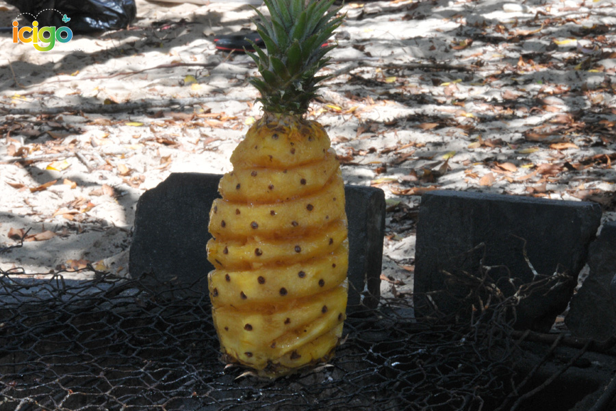 ananas ananas