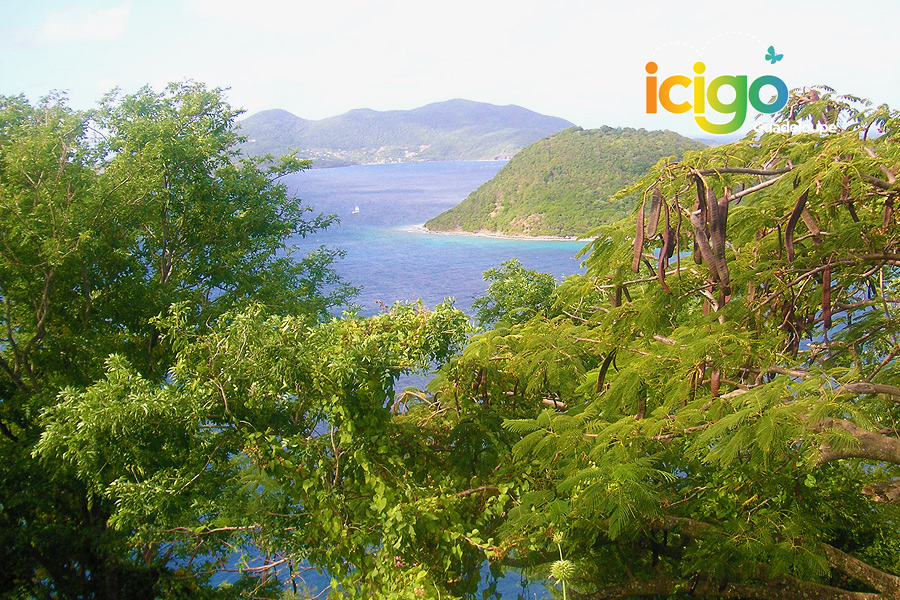 Vue sur la baie des saintes Vue sur la baie des saintes