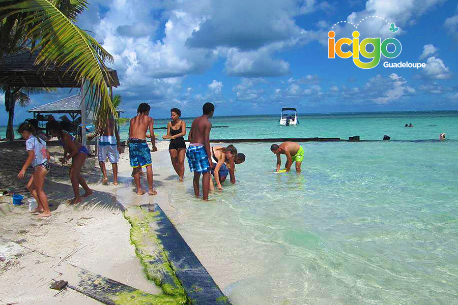 baignade ilet caret eau turquoise baignade ilet caret eau turquoise