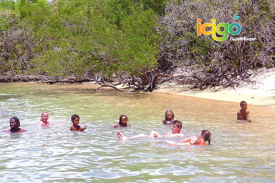baignade ilet fajou baignade ilet fajou