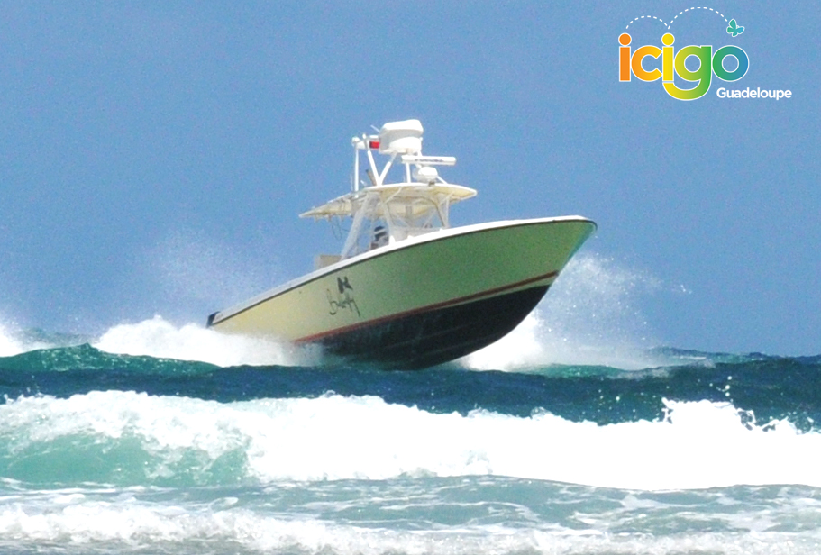 bateau buterfly vitesse croisiere bateau buterfly vitesse croisiere