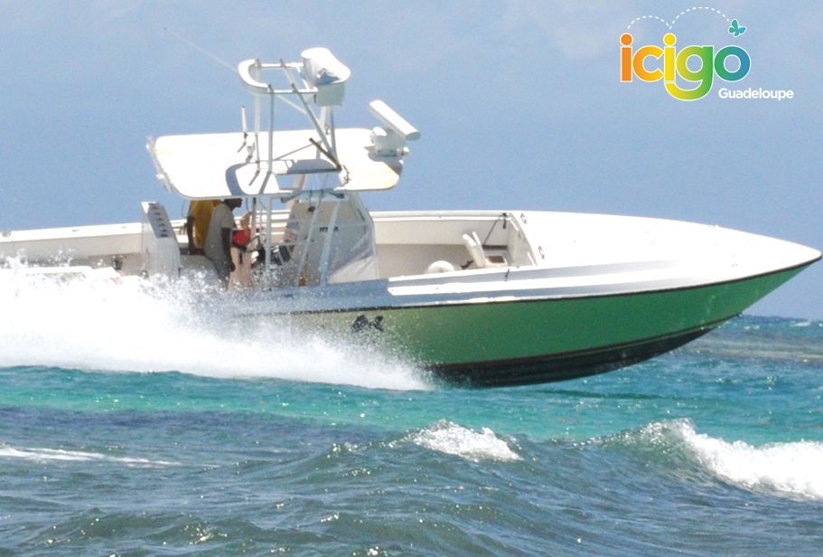 bateau rapide butterfly bateau rapide butterfly