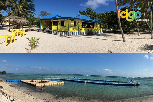 Restaurant et piscine de mer de La Désirade