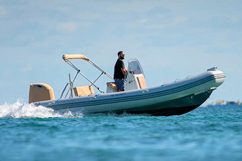 Zodiac roo400