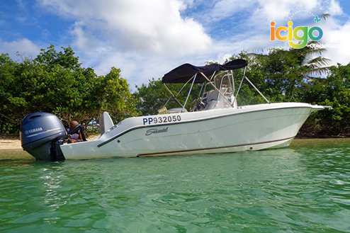 Cliquez pour prévisualiser l'image Fabrice