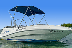 Quicksilver 505 commander