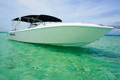 Speed-boat Caret