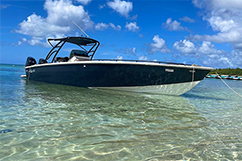 bateau rapide fleur d&#039;Épée