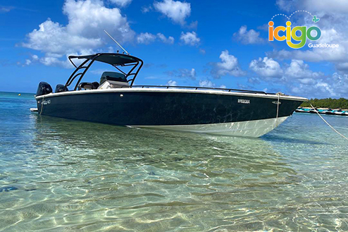 Cliquez pour prévisualiser l'image bateau rapide fleur d'Épée