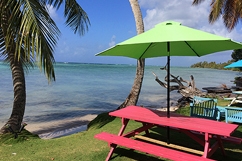 Restaurant Marie-Galante package